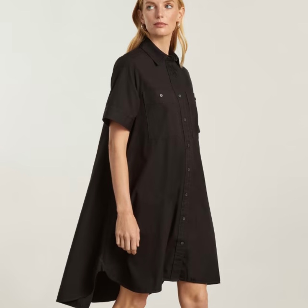 Everlane Daytripper Dress NWT